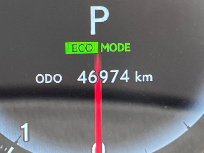 2017 Lexus RX DAA-GYL25W (UW-69f1f6e80e6ae)[2]