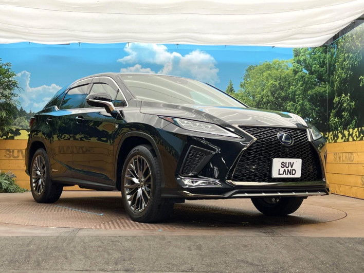2022 Lexus RX 6AA-GYL25W (UW-69f1f6e825710)[19]