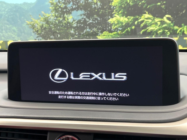 2022 Lexus RX 6AA-GYL25W (UW-69f1f6e825710)[12]