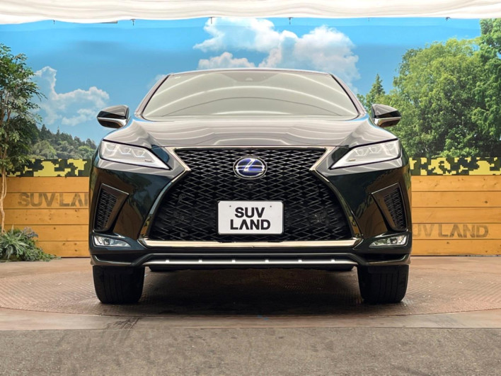 2022 Lexus RX 6AA-GYL25W (UW-69f1f6e825710)[18]