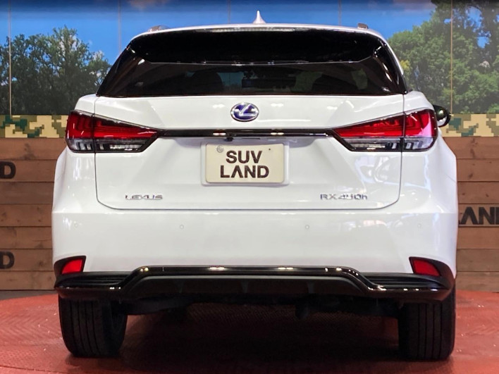 2022 Lexus RX 6AA-GYL25W (UW-69f1f6e9903df)[18]