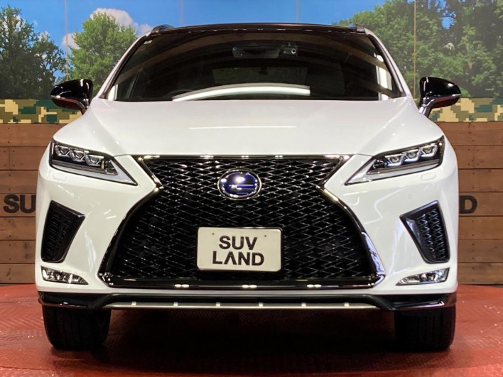 2022 Lexus RX 6AA-GYL25W (UW-69f1f6e9903df)[14]