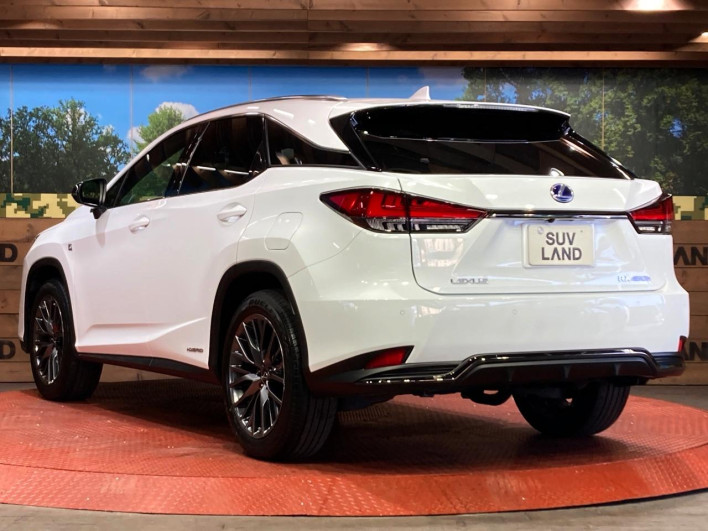 2022 Lexus RX 6AA-GYL25W (UW-69f1f6e9903df)[19]