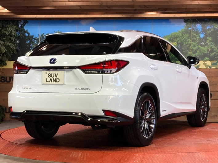 2022 Lexus RX 6AA-GYL25W (UW-69f1f6e9903df)[17]