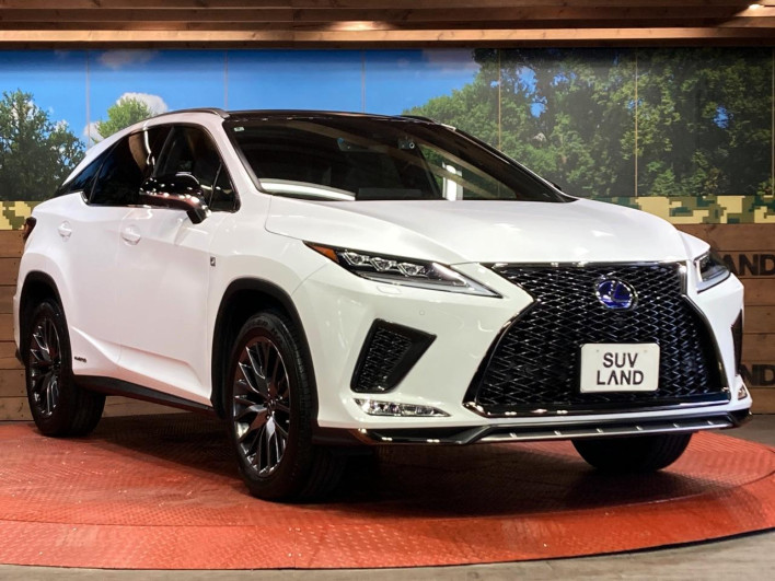 2022 Lexus RX 6AA-GYL25W (UW-69f1f6e9903df)[15]