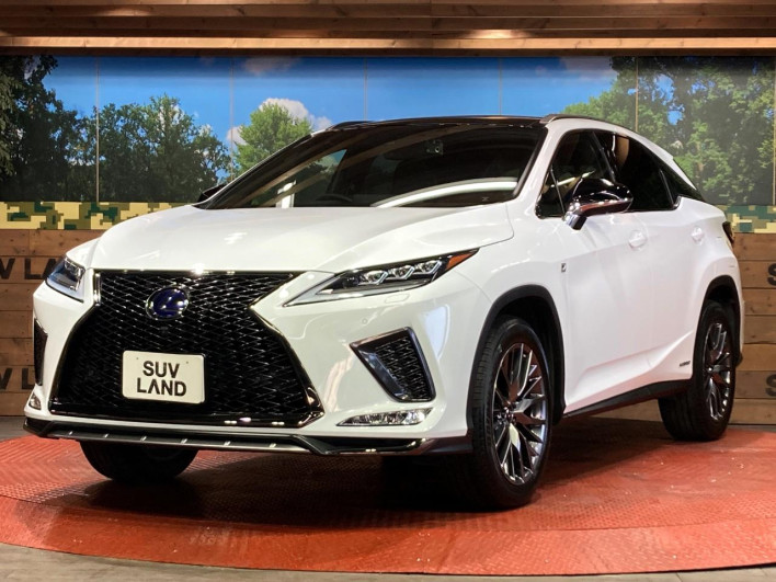 2022 Lexus RX 6AA-GYL25W (UW-69f1f6e9903df)[13]