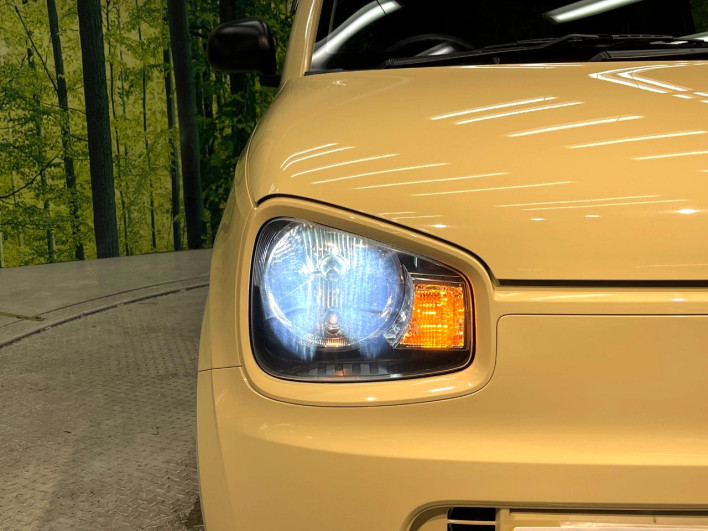 2019 Suzuki Alto DBA-HA36S (UW-69f1f6eb6f1af)[14]