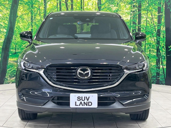 2022 Mazda CX-8 3da-kg2p (UW-69f1f7311b7af)[6]