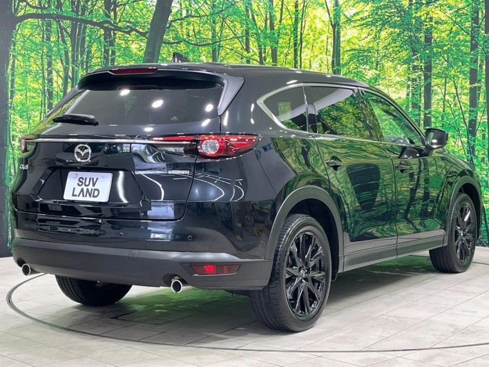 2022 Mazda CX-8 3da-kg2p (UW-69f1f7311b7af)[11]