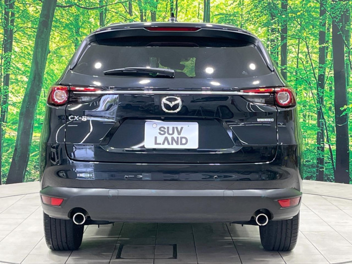 2022 Mazda CX-8 3da-kg2p (UW-69f1f7311b7af)[10]