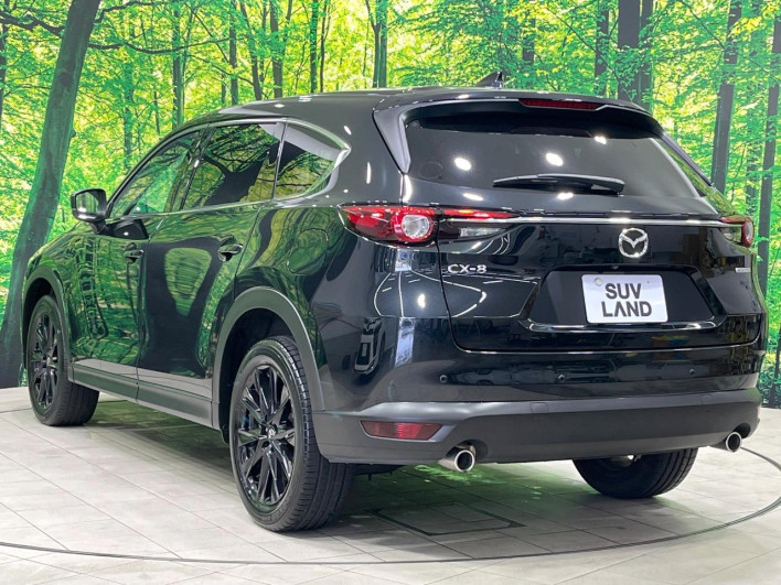 2022 Mazda CX-8 3da-kg2p (UW-69f1f7311b7af)[9]