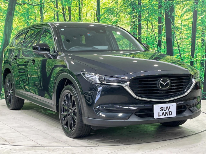 2022 Mazda CX-8 3da-kg2p (UW-69f1f7311b7af)[5]