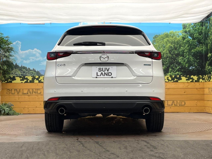 2023 Mazda CX-8 3da-kg2p (UW-69f1f731224d5)[20]