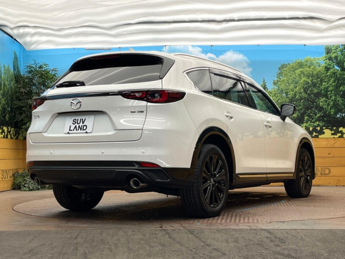 2023 Mazda CX-8 3da-kg2p (UW-69f1f731224d5)[19]