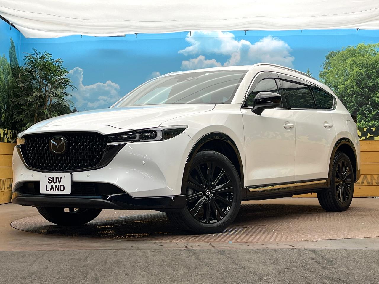 2023 Mazda CX-8 3da-kg2p