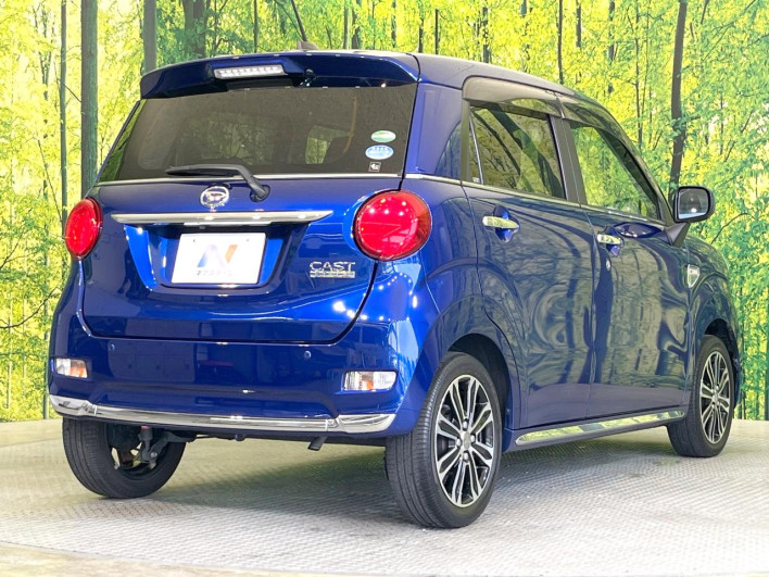2016 Daihatsu Cast DBA-LA250S (UW-69f1f73cba236)[18]