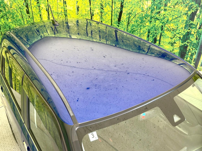 2016 Daihatsu Cast DBA-LA250S (UW-69f1f73cba236)[6]