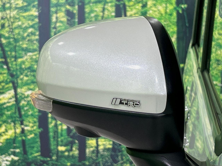 2018 Toyota Roomy DBA-M900A (UW-69f1f7614b5b8)[7]