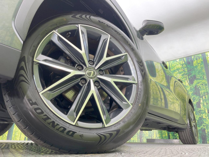 2024 Lexus LBX 6AA-MAYH15 (UW-69f1f7710a04a)[12]