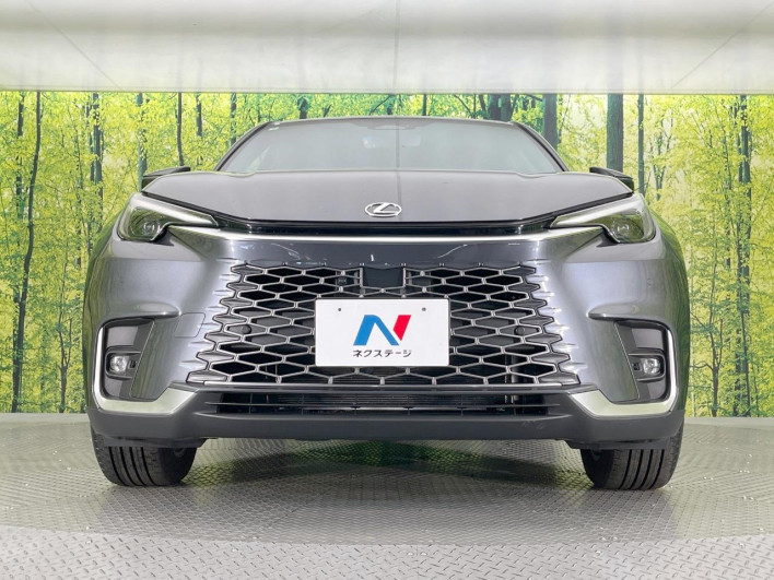 2024 Lexus LBX 6AA-MAYH15 (UW-69f1f7710a04a)[17]