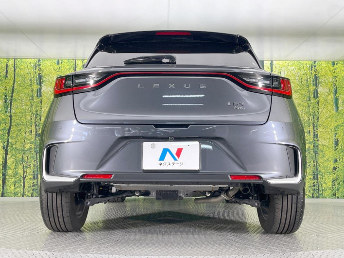 2024 Lexus LBX 6AA-MAYH15 (UW-69f1f7710a04a)[21]
