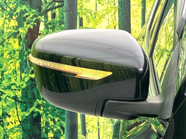 2017 Nissan X-Trail DBA-NT32 (UW-69f1f7c1b8897)[10]