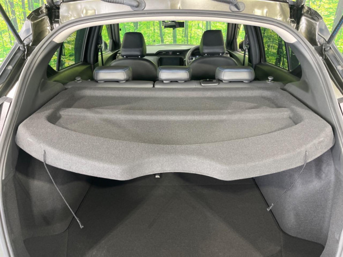 2021 Nissan Kicks 6AA-P15 (UW-69f1f7c5ae950)[21]