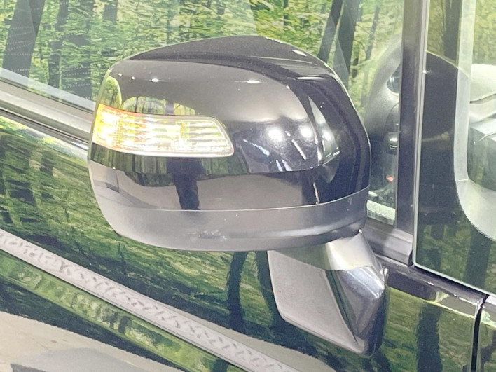 2011 Honda Step Wagon DBA-RK2 (UW-69f1f7c9bce5f)[21]