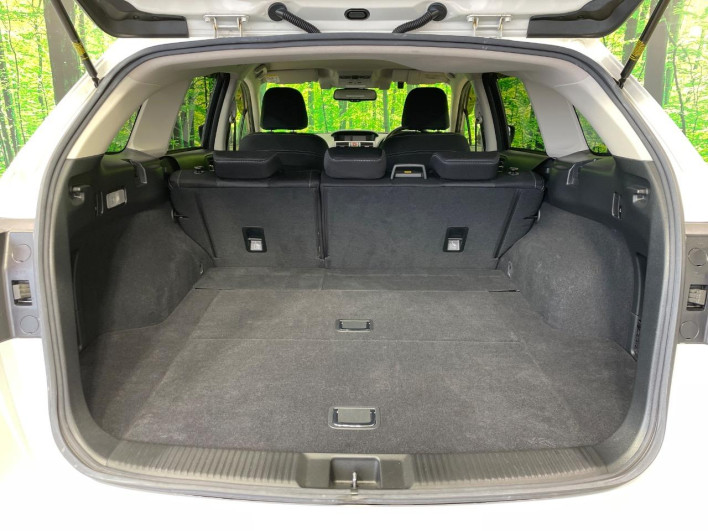 2017 Subaru Levorg DBA-VM4 (UW-69f1f7dfce5cb)[18]