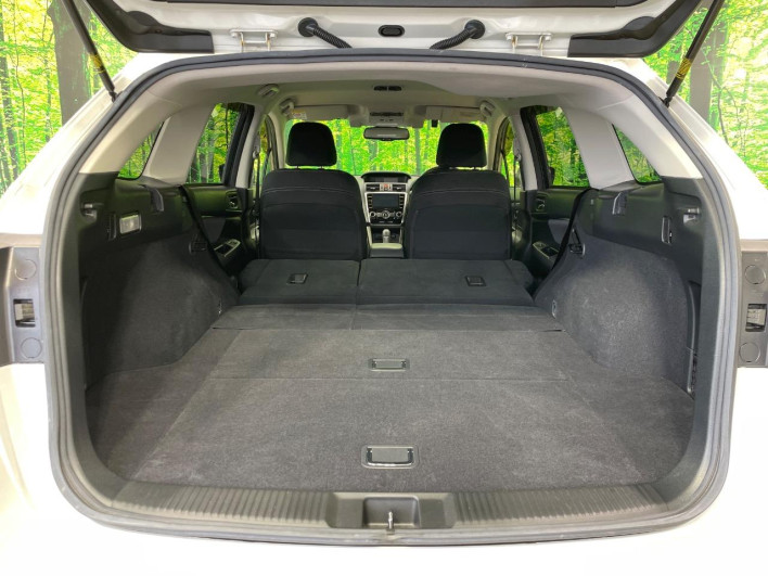 2017 Subaru Levorg DBA-VM4 (UW-69f1f7dfce5cb)[14]