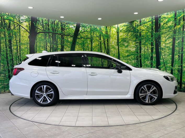 2017 Subaru Levorg DBA-VM4 (UW-69f1f7dfce5cb)[28]
