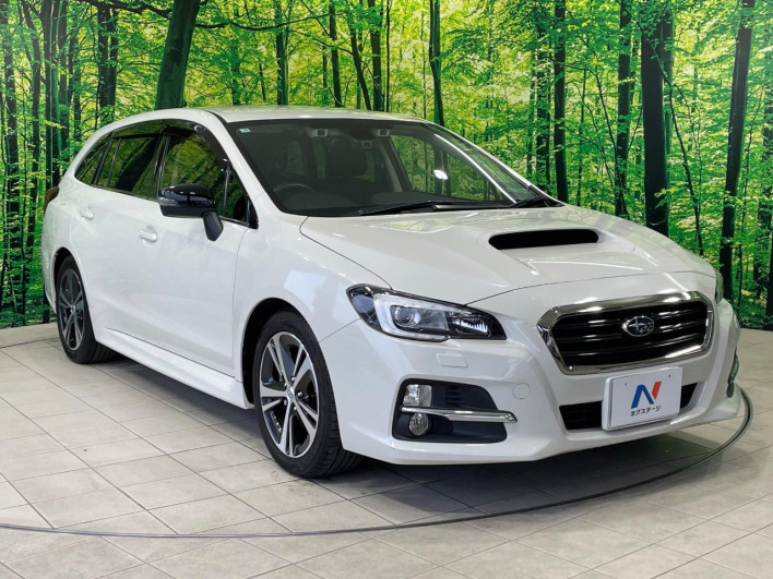 2017 Subaru Levorg DBA-VM4 (UW-69f1f7dfce5cb)[29]