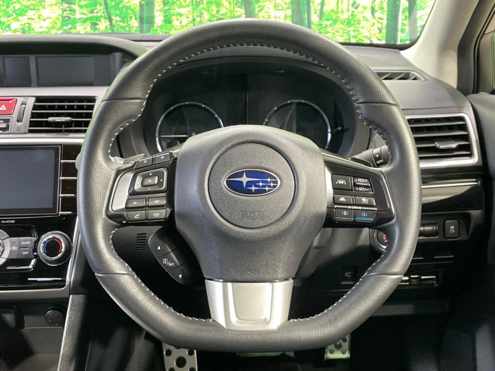 2017 Subaru Levorg DBA-VM4 (UW-69f1f7dfce5cb)[23]