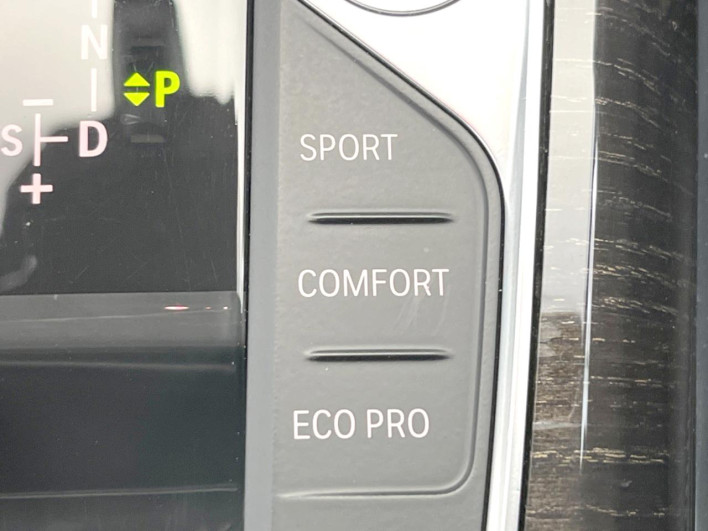 2019 BMW 3 Series 3DA-5V20 (UW-69f1f7e4e3eb2)[23]