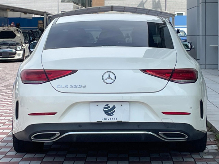 2019 Mercedes Benz CLS Class LDA-257314 (UW-69f1f7eb110d9)[11]