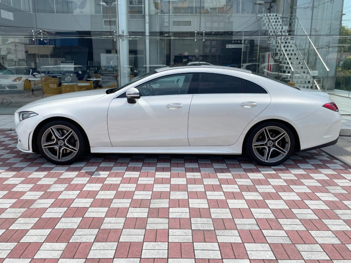 2019 Mercedes Benz CLS Class LDA-257314 (UW-69f1f7eb110d9)[17]