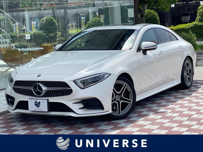 2019 Mercedes Benz CLS Class LDA-257314 (UW-69f1f7eb110d9)[3]