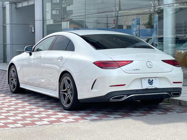 2019 Mercedes Benz CLS Class LDA-257314 (UW-69f1f7eb110d9)[12]
