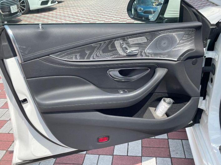2019 Mercedes Benz CLS Class LDA-257314 (UW-69f1f7eb110d9)[19]