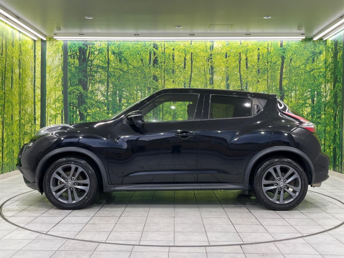 2014 Nissan JUKE DBA-YF15 (UW-69f1f7ee08016)[27]