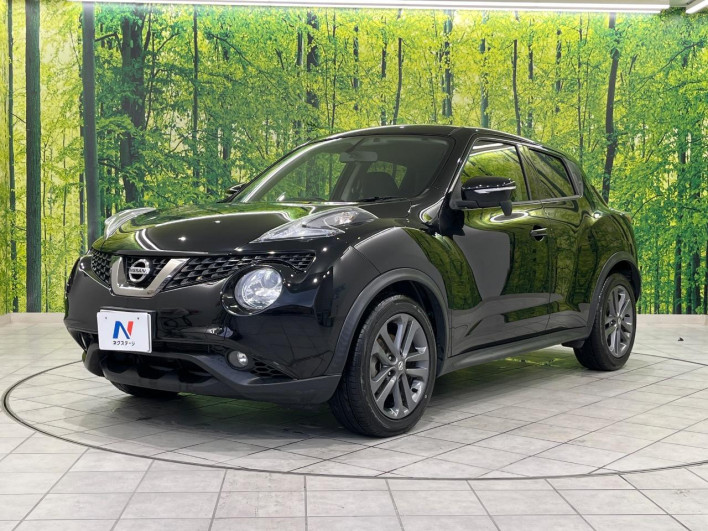 2014 Nissan JUKE DBA-YF15 (UW-69f1f7ee08016)[13]