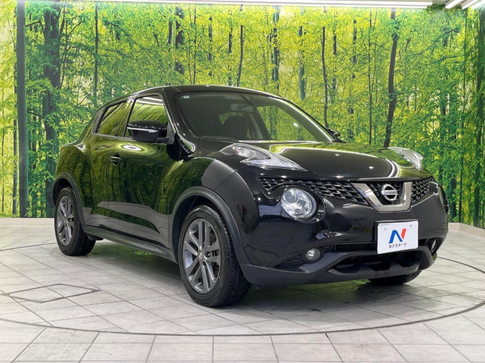 2014 Nissan JUKE DBA-YF15 (UW-69f1f7ee08016)[15]