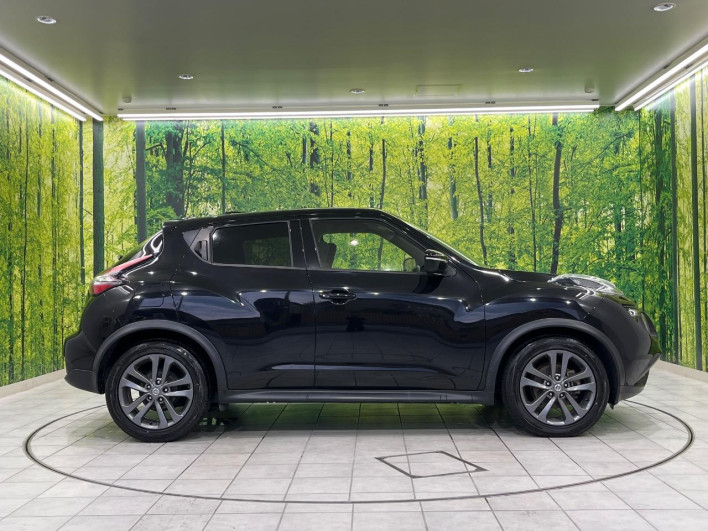 2014 Nissan JUKE DBA-YF15 (UW-69f1f7ee08016)[16]
