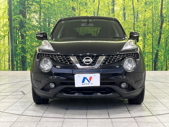 2014 Nissan JUKE DBA-YF15 (UW-69f1f7ee08016)[14]