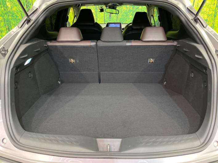 2017 Toyota C-HR DAA-ZYX10 (UW-69f1f80d3f485)[28]