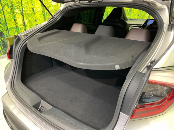 2017 Toyota C-HR DAA-ZYX10 (UW-69f1f80d3f485)[25]