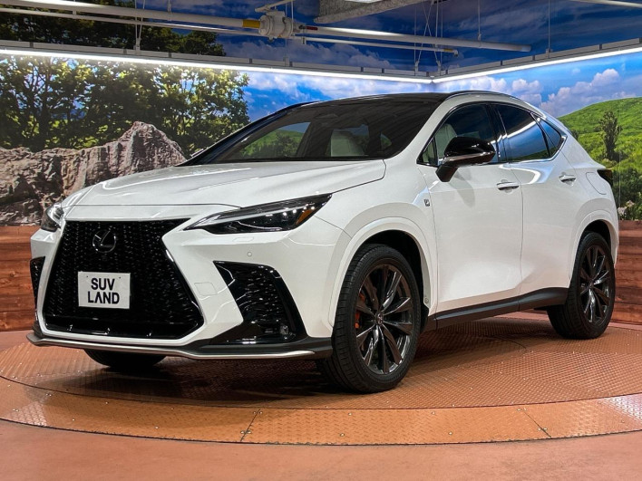 2023 Lexus NX 6AA-AAZH20 (UW-69f2a3e94fafd)[27]
