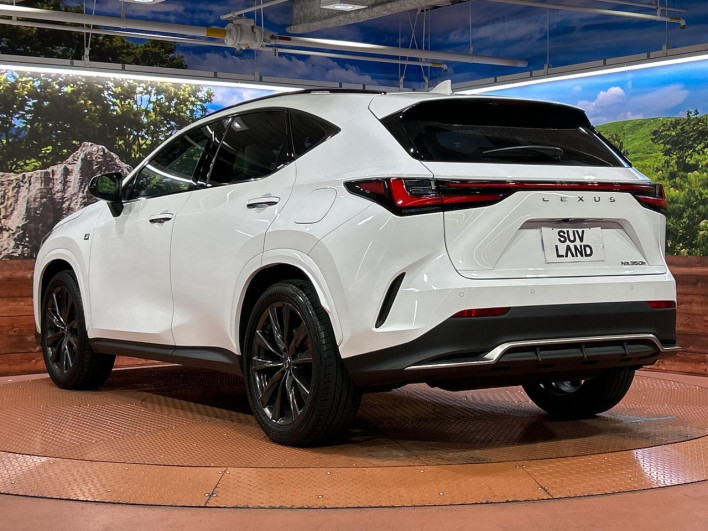 2023 Lexus NX 6AA-AAZH20 (UW-69f2a3e94fafd)[29]