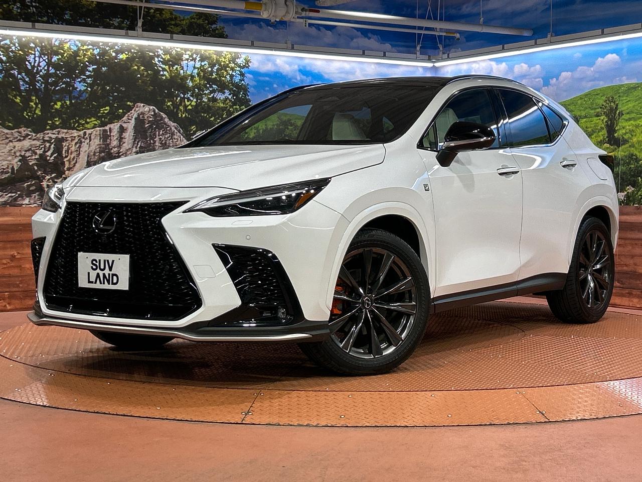 2023 Lexus NX 6AA-AAZH20