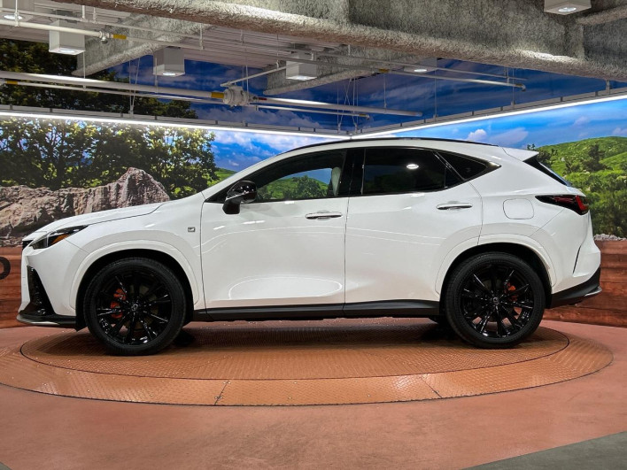 2023 Lexus NX 6AA-AAZH20 (UW-69f2a3e994573)[27]